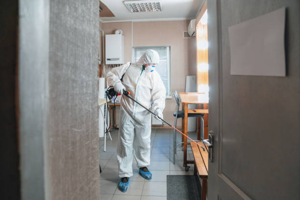 Best Biohazard Mold Removal  in Swarthmore, PA