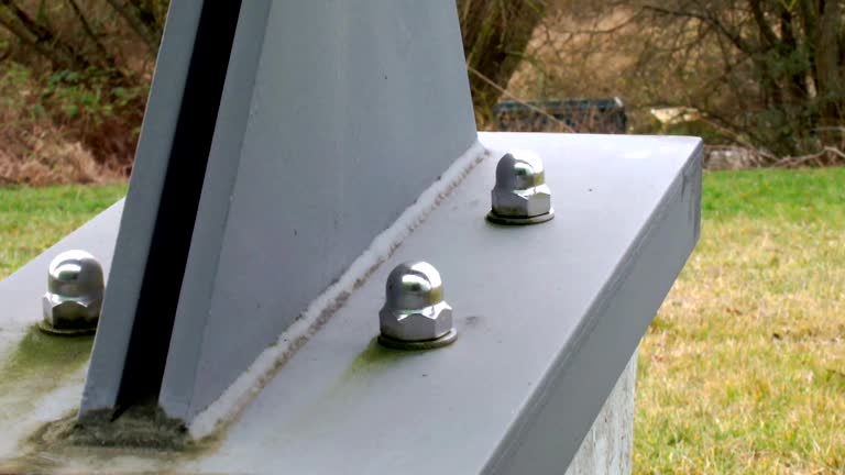 Best Forensic Mold Investigation  in Swarthmore, PA